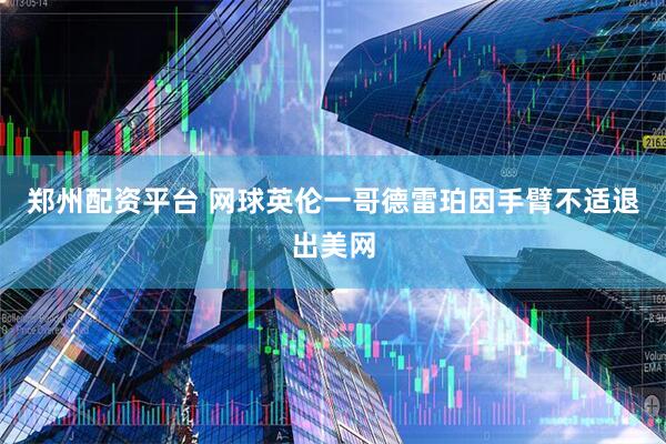 郑州配资平台 网球英伦一哥德雷珀因手臂不适退出美网
