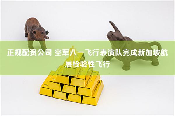正规配资公司 空军八一飞行表演队完成新加坡航展检验性飞行