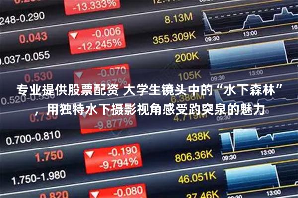 专业提供股票配资 大学生镜头中的“水下森林”，用独特水下摄影视角感受趵突泉的魅力