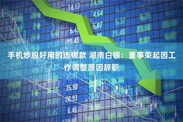 手机炒股好用的选哪款 湖南白银：董事荣起因工作调整原因辞职