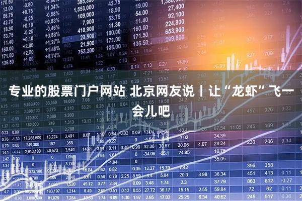专业的股票门户网站 北京网友说丨让“龙虾”飞一会儿吧